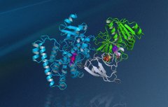 万能生物催化剂全长晶体结构获破解