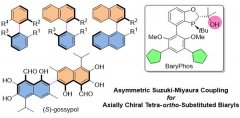 构建轴手性邻位四取代联芳基结构研究取得进展